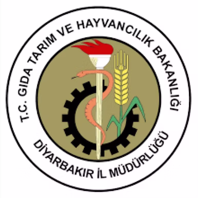 Çelik Ağ,Mesh Çelik,Meshçelik,Çelik Mesh,Çelikmesh